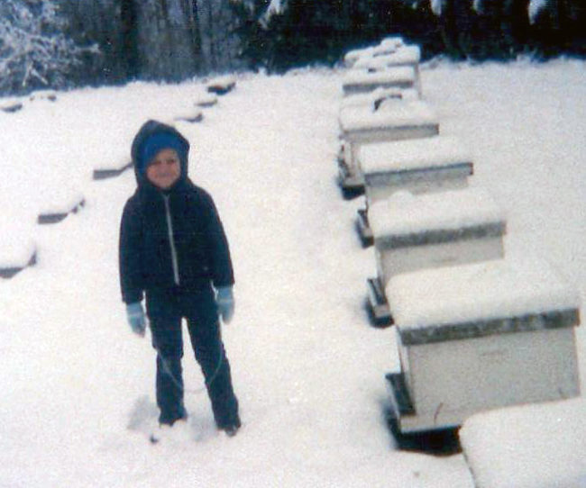 Where It All Began Bee Wild's Milestones