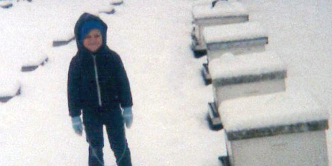 Where It All Began Bee Wild's Milestones