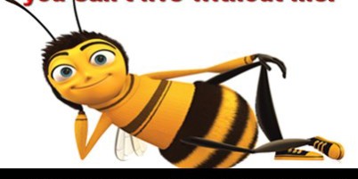 Photo Courtesy of Citizens Action Network - Bees vs. Monsanto