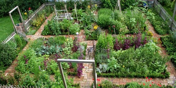 Real Food Kitchen Garden