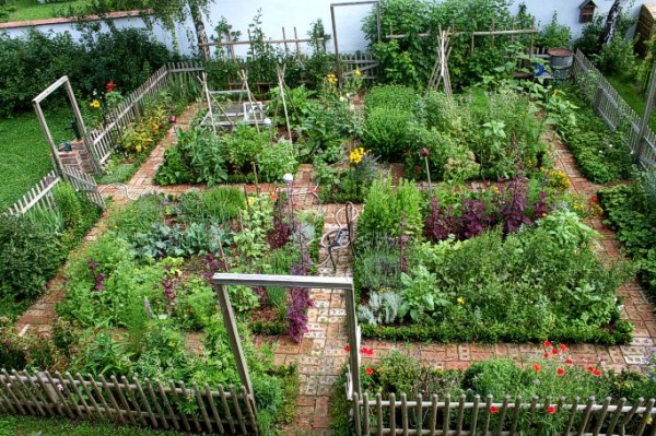 Real Food Kitchen Garden