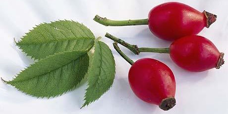 Rosehips