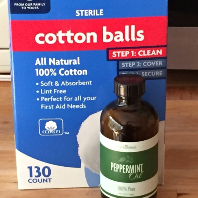 Natural Ant Prevention with Peppermint Essential Oil