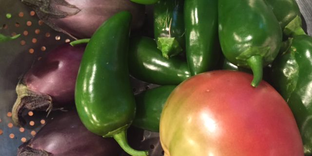 First Harvest of Veggies