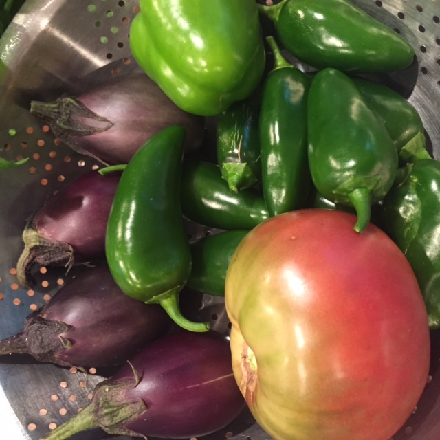 First Harvest of Veggies