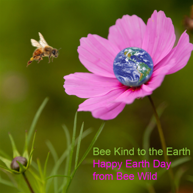 Improve Your Indoor Air Quality for Earth Day