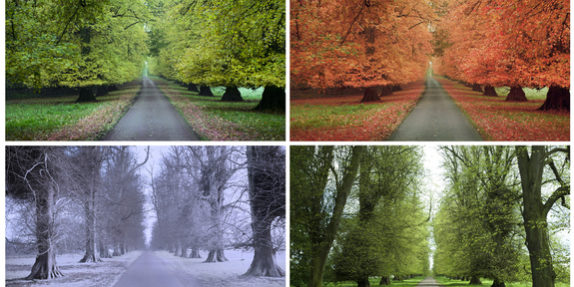 Four Seasons for It's All Okay