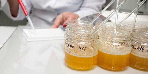 Honey R&D Lab for Update for New Infused Honey