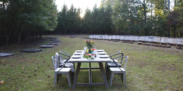 Wright Family Bee Farm for How Do Bees Know Interview