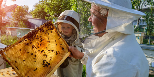 Beekeeping Class Bee Wild's Milestones