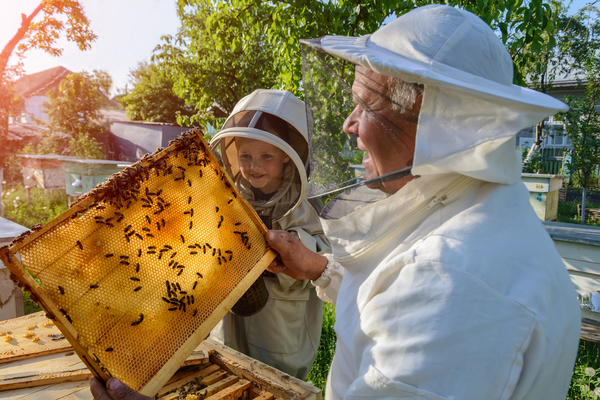 Beekeeping Class Bee Wild's Milestones