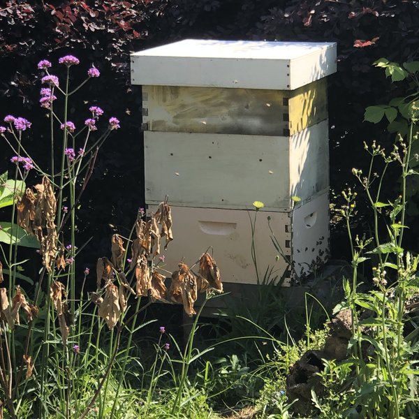 Spring 2019 Beekeeping Class Bee Box