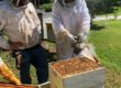 Spring 2019 Beekeeping Class Using Smoker