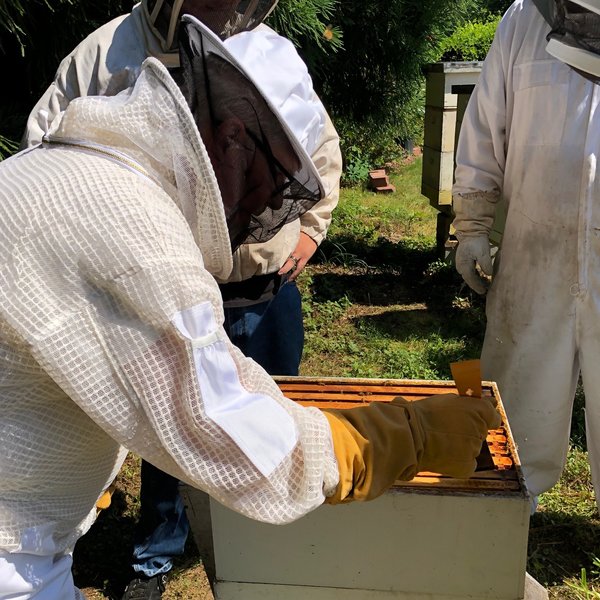 Spring 2019 Beekeeping Class Lifting the Frame Out