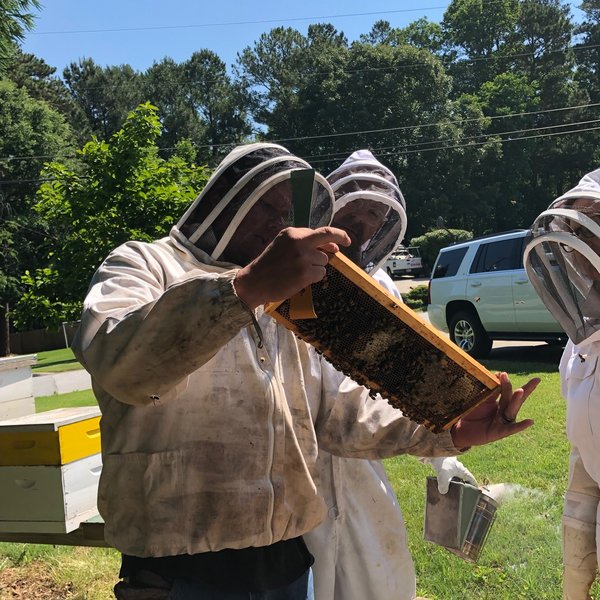 Spring 2019 Beekeeping Class Inspecting the Frame