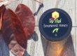 Sourwood Leaf and Honey for Bee Wild 2019 Sourwood Honey